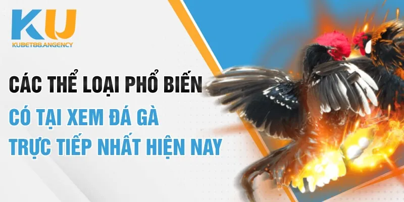 Các thể loại phổ biến có tại xem đá gà trực tiếp nhất hiện nay