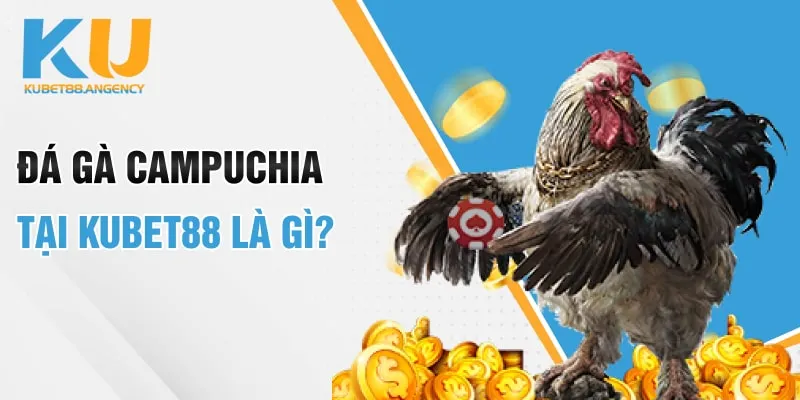 Đá gà Campuchia tại Kubet88 là gì?