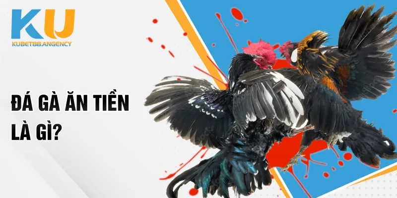 Đá gà ăn tiền là gì?