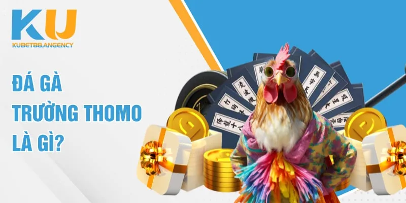 Đá gà trường Thomo là gì?