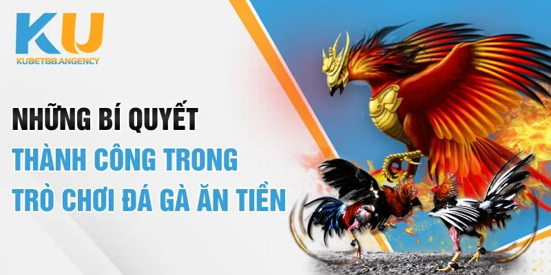 Những bí quyết thành công trong trò chơi đá gà ăn tiền
