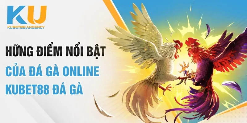 Những điểm nổi bật của đá gà online Kubet88 đá gà