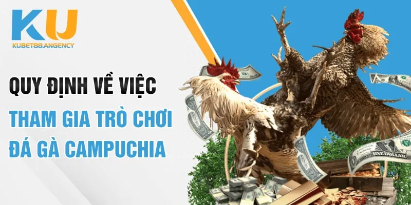 Quy định về việc tham gia trò chơi đá gà Campuchia