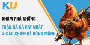 Khám phá những trận đá gà hay nhất & các chiến kê dũng mãnh