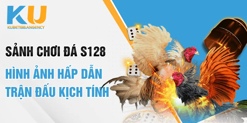 Sảnh chơi đá gà S128 - Hình ảnh hấp dẫn, trận đấu kịch tính