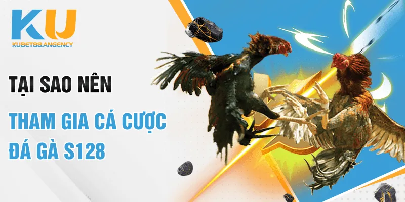 Tại sao nên tham gia cá cược đá gà s128
