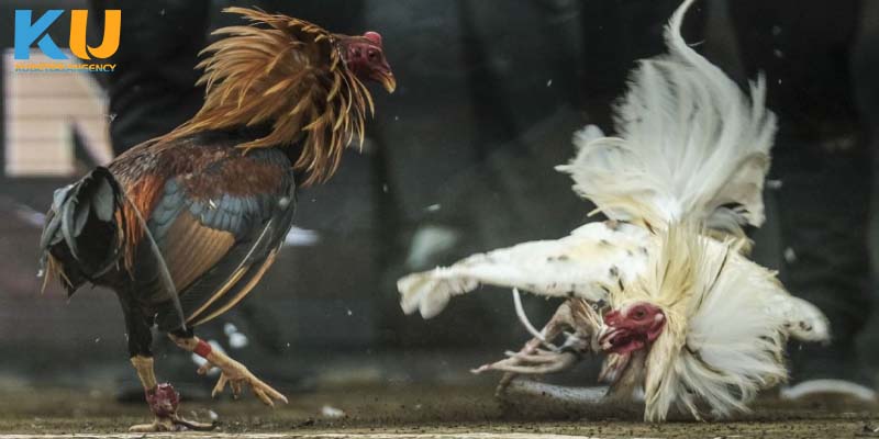 Quản lý tiền chơi hợp lý