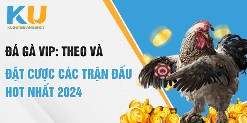 Đá gà VIP: Theo dõi và đặt cược các trận đấu hot nhất 2024