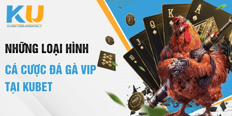 Những loại hình cá cược đá gà VIP tại Kubet